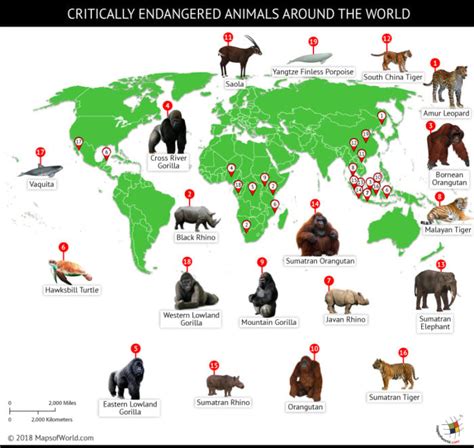 A World Of Endangered Animals 2025 𝚆𝚊𝚝𝚌𝚑 With A Group Online
